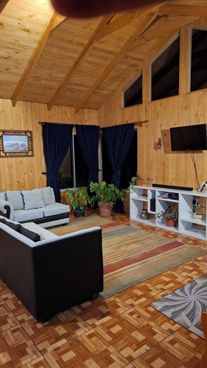 A wooden interior with a sofa, a black ottoman, a TV, and potted plants. - Entire House, 5,000 m²: Outdoor Grill, Air Conditioning & Starlink (los angeles)