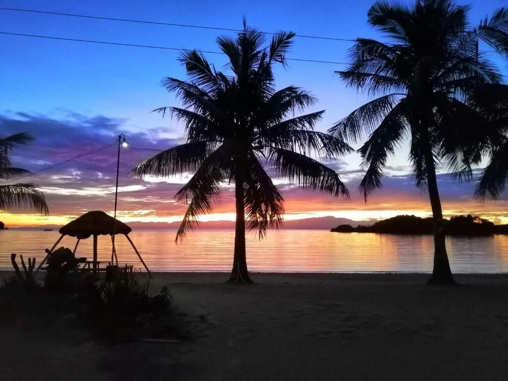 A beach scene with palm trees and a sunset.