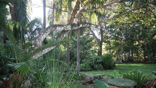 Un jardín con zona de patio, que incluye una mesa y sillas, rodeado de abundante vegetación y árboles.