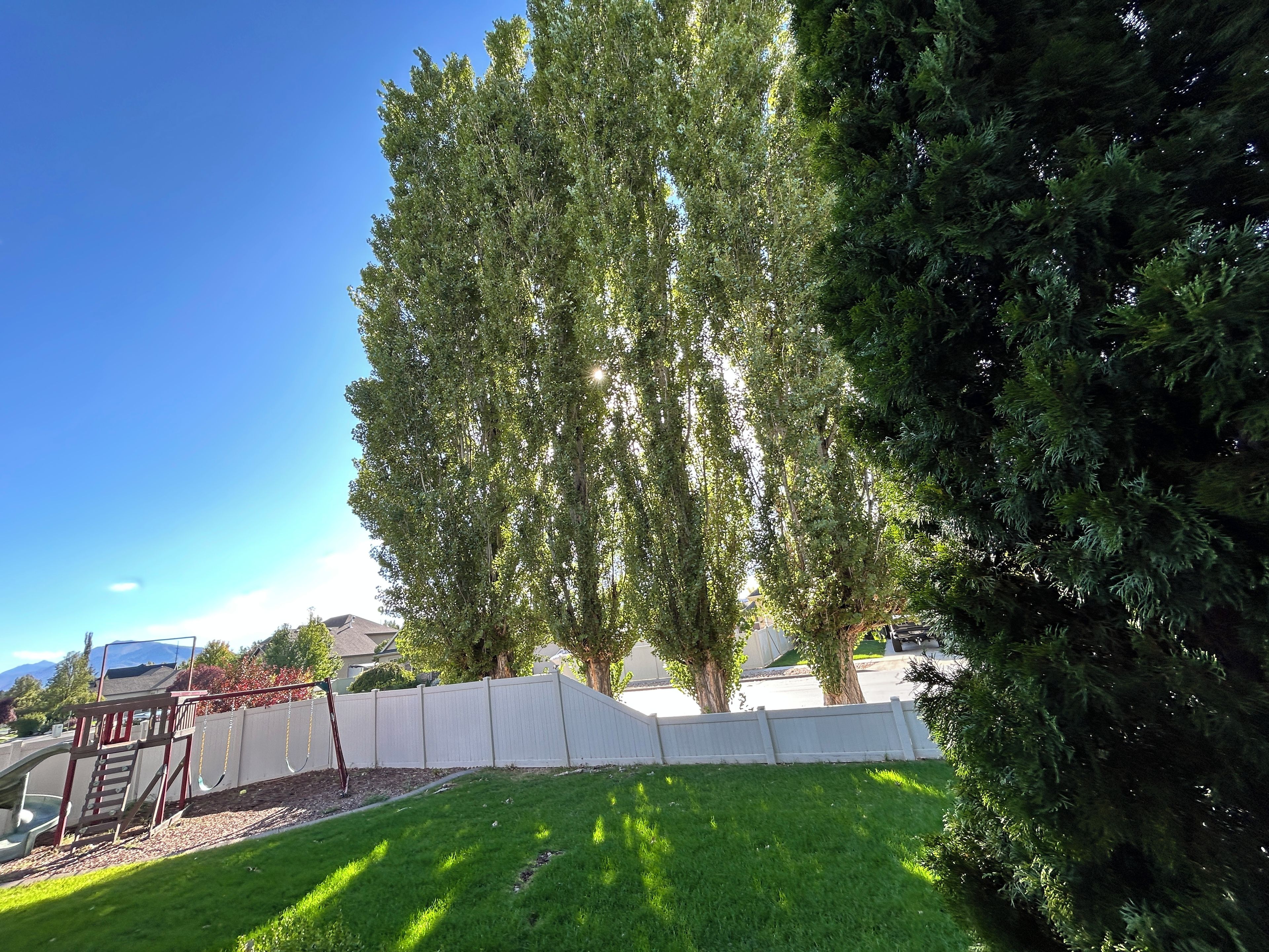 Ein Wohnhausgarten mit weißem Zaun, einer Schaukel und einem großen Baum.