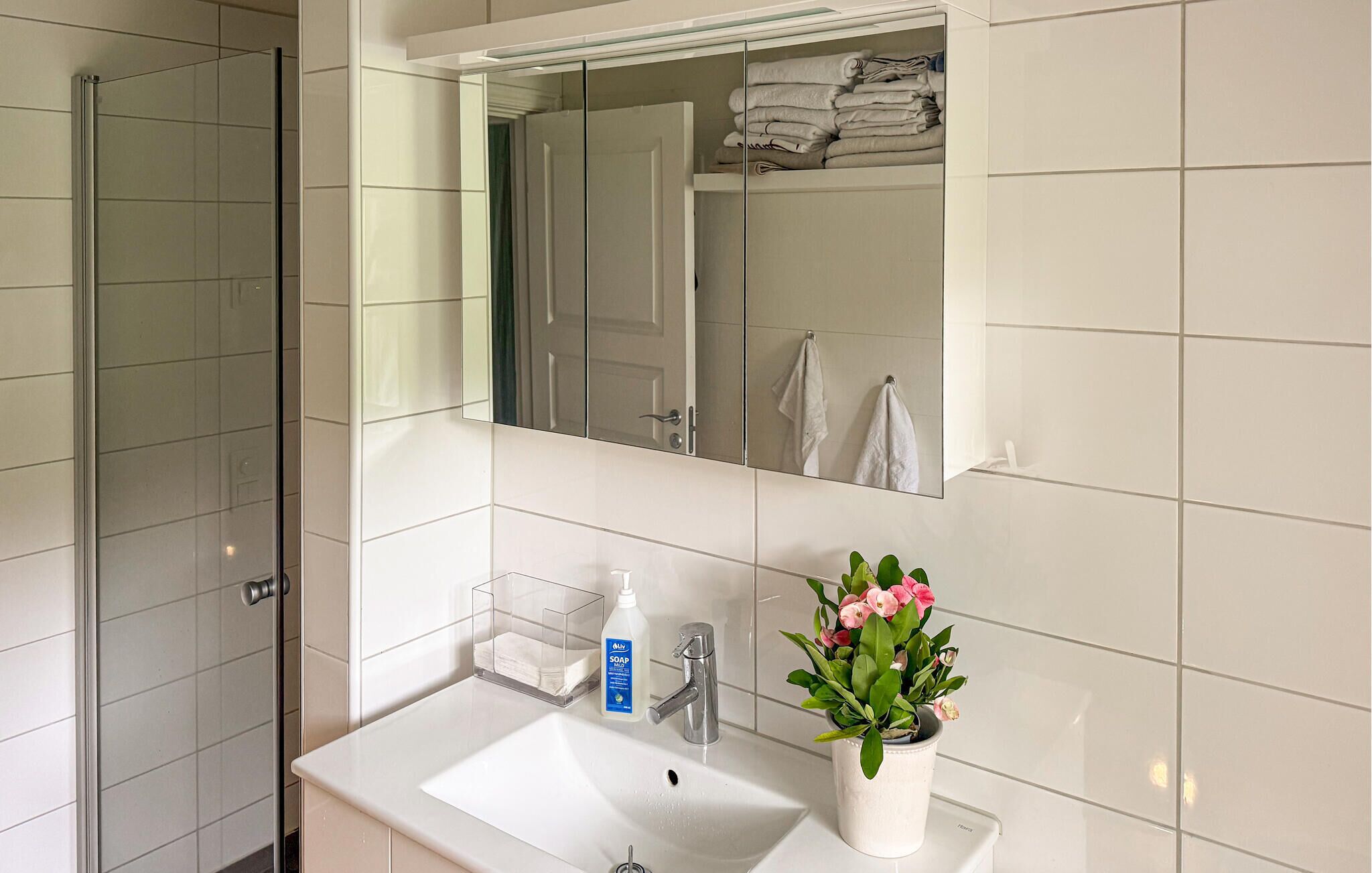 Un baño con cabina de ducha de vidrio, un lavabo con espejo y una planta en maceta sobre la encimera.
