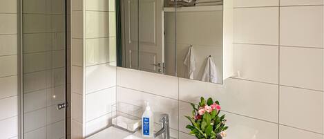 Un baño con cabina de ducha de vidrio, un lavabo con espejo y una planta en maceta sobre la encimera.