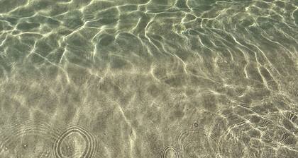 "Sunshine, Peace & Tranquility"