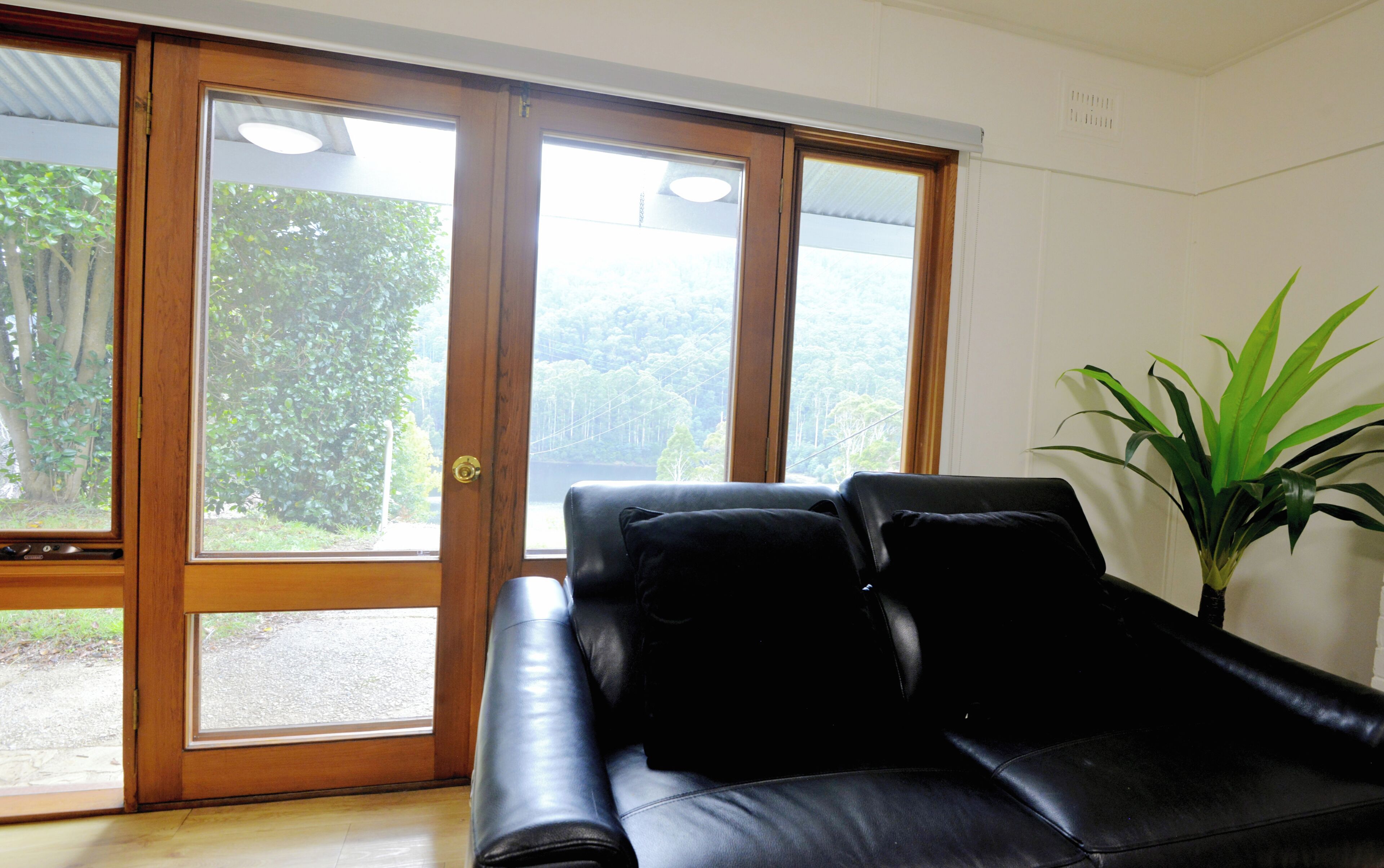 A room with a black leather sofa, a wooden door with glass panels, and a potted plant.