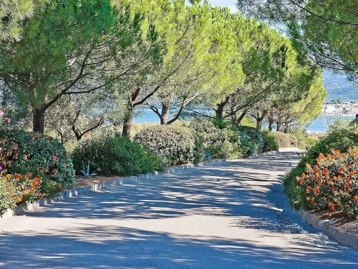 A tree-lined road with a view of the sea.