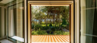 Just a stone's throw from the beach and the pine forest.