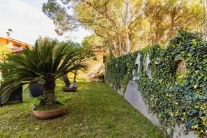 Un jardin avec un palmier, un mur recouvert de lierre et un bâtiment doté d’un toit rouge.