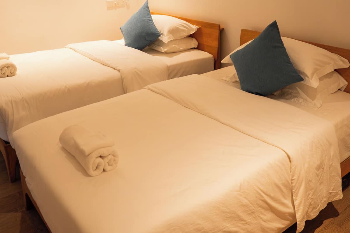 Two single beds with white bedding and blue pillows, wooden headboards, and a wooden floor.