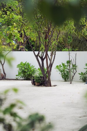 A garden area with various trees and plants, a white wall, and a sandy ground. - Arena Blanca (Rasdhoo)