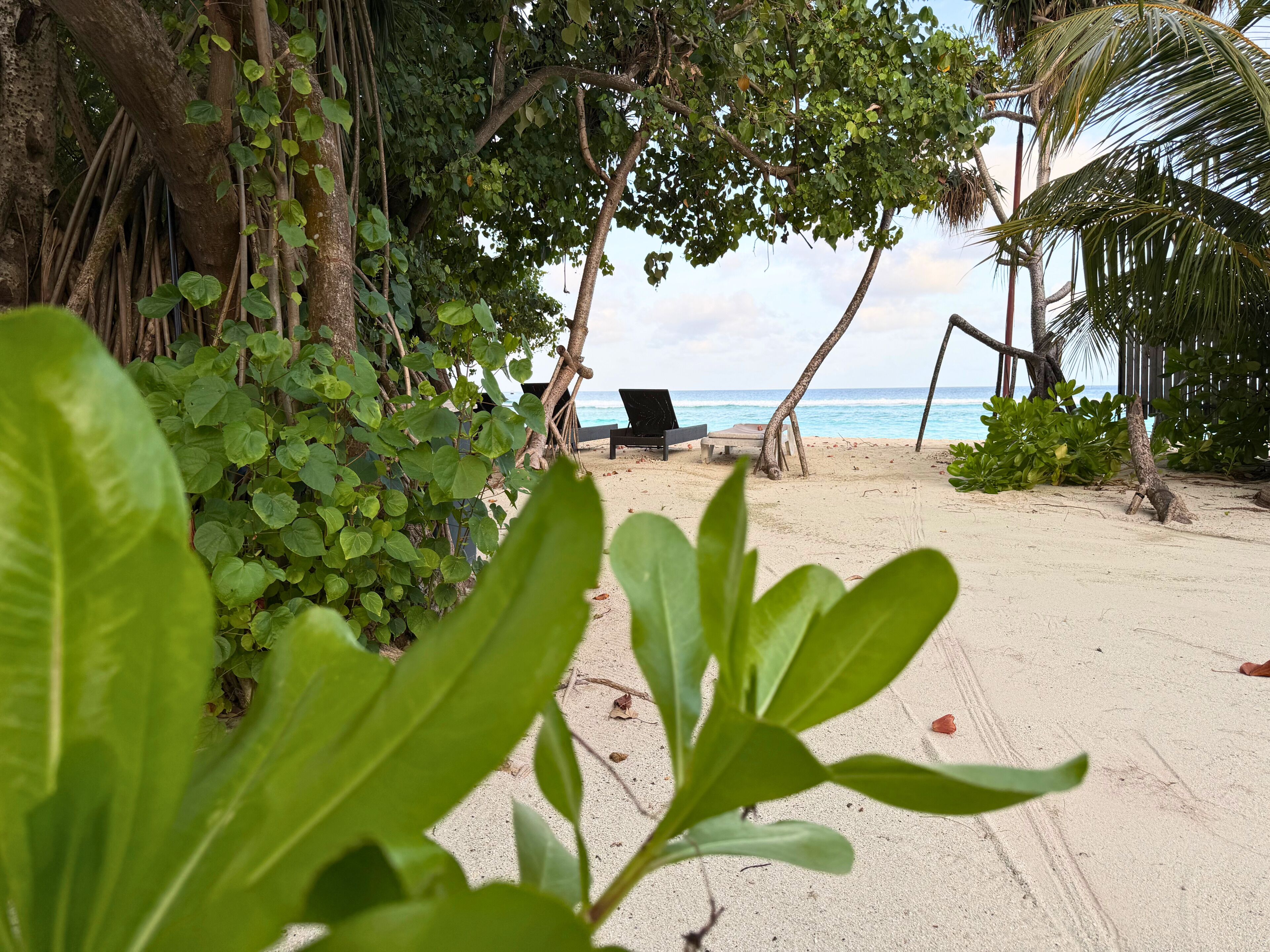 A beach with a lounge chair and a small table, surrounded by greenery and a wooden structure.