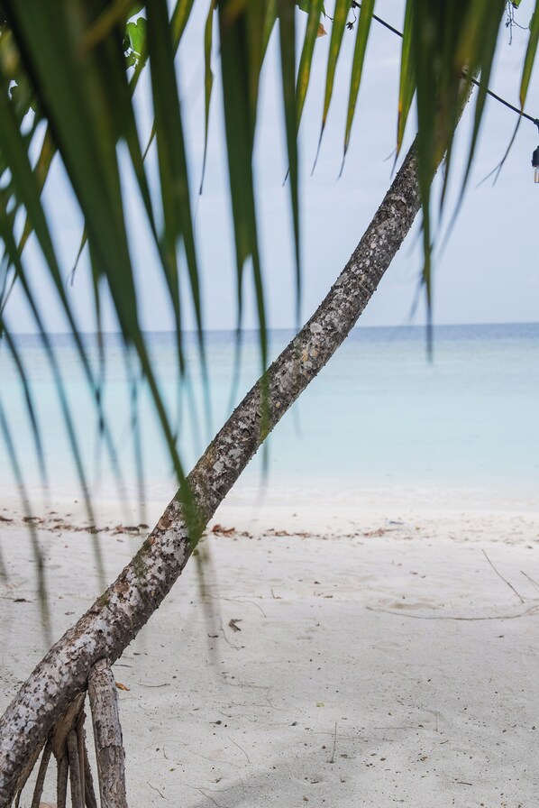 Escena de playa con un tronco de árbol y agua azul cristalina.