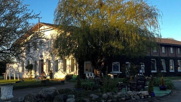 Un bâtiment avec un grand arbre devant, un chemin en pierre et un espace extérieur aménagé avec des sièges.