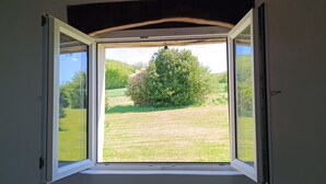An open window with a view of a grassy field and a tree.