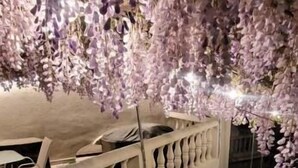A covered outdoor area with a white balustrade, a stone wall, and a gravel path. - Borgo Al Sole Apartaments Sakura (Colombiera-Molicciara)