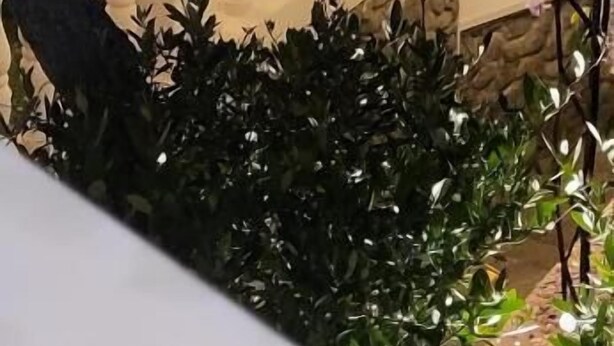 A garden with a pergola structure, surrounded by greenery and illuminated by artificial lighting. - Borgo Al Sole Apartaments Sakura (Colombiera-Molicciara)
