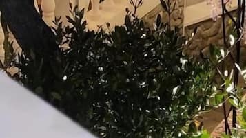 Dettaglio esterni