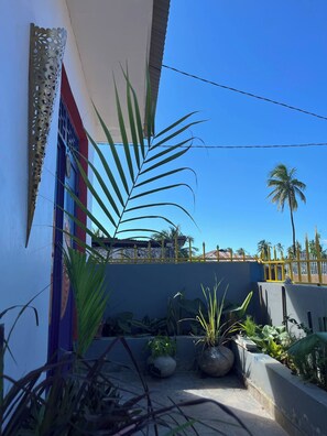 A courtyard with potted plants, a blue door, and a clear blue sky. - Azure Chameleon House (Zanzibar)