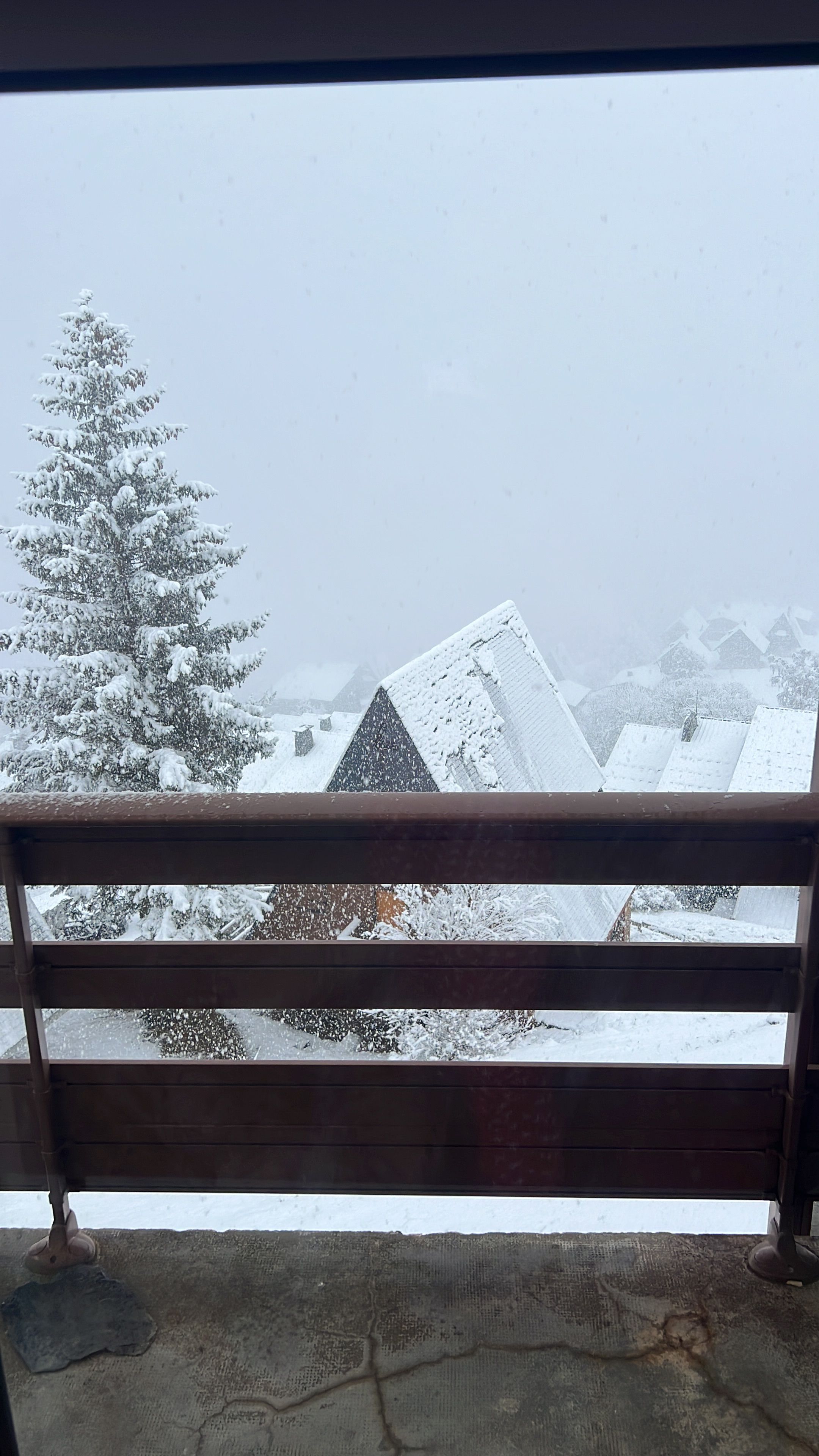 Um banco de madeira com vista para edifícios cobertos de neve e uma árvore.