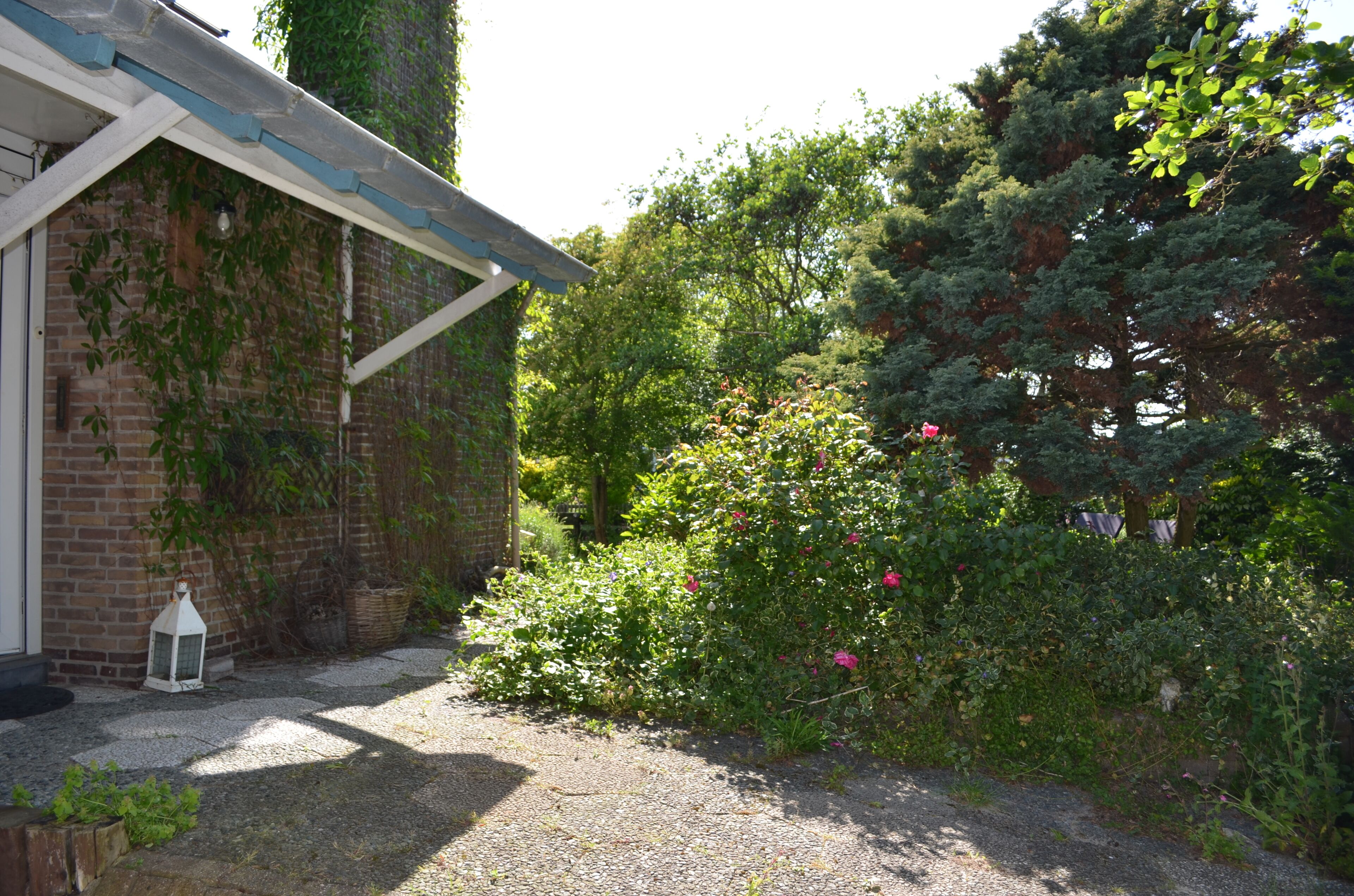 A garden with a brick wall, a white lantern, and dense foliage.