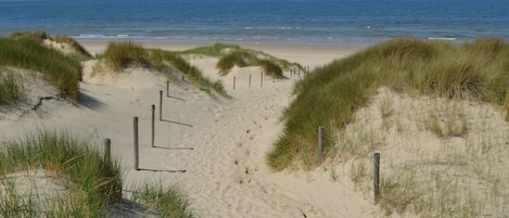 Chaises longues