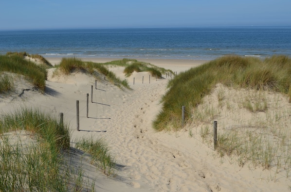 Ein Sandstrand mit Dünen und freiem Blick auf den Ozean.