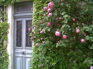 Une façade d’immeuble avec une porte et un mur recouvert de rosiers grimpants.