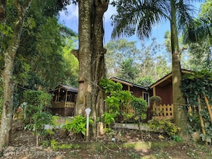 A rustic wooden house surrounded by dense tropical foliage, with a wooden fence and a small garden area.