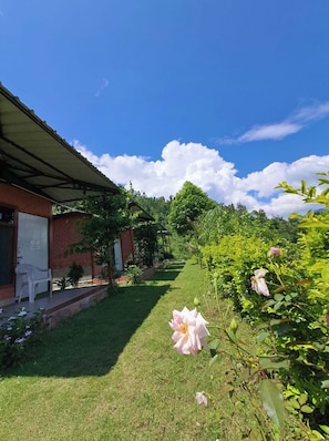 Área da propriedade