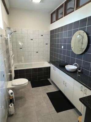 Douche, sèche-cheveux, serviettes fournies, papier toilette