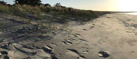 Playa