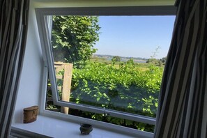 Ein Fenster mit Blick auf einen Garten und ein Gewässer.