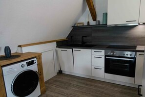 A compact kitchen with a washing machine, a sink, and an oven. - Willi's view of the meadow (Grödersby)