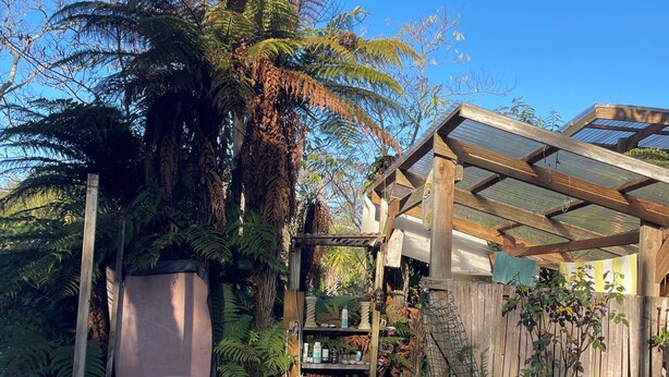 Une terrasse en bois avec un jacuzzi, entourée d’une végétation luxuriante et d’une clôture en bambou.