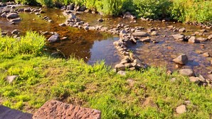 A natural landscape with a stream, rocks, and greenery.