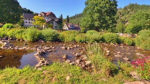 Unclassified image, 4 of 25, button - Alte Schmiede by the Stream with Black Forest Plus Card (Baiersbronn)