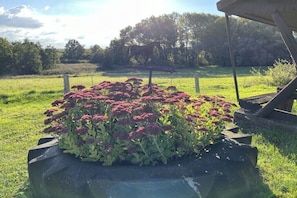Ein Garten mit einer Pferdeskulptur, einem Steingartenbeet mit Blumen und einer Holzkonstruktion.