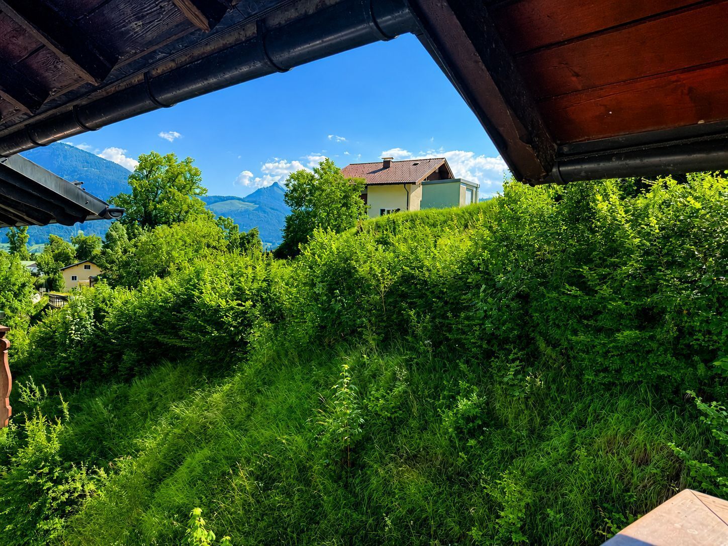 Blick von einer überdachten Fläche auf einen üppigen, grünen Hang mit einem Haus im Hintergrund.