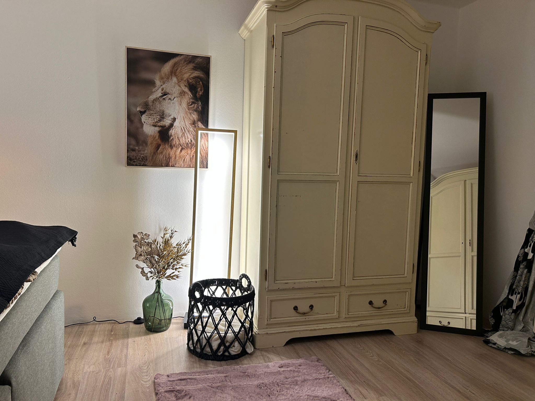 Een kamer met een kledingkast, een spiegel, een ingelijst kunstwerk, een kleine plant en een roze vloerkleed.