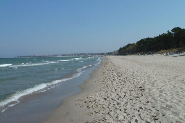 A wide sandy beach with gentle waves, a clear sky, and a forested area in the background. - with garden and terrace (Glowe)