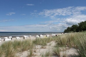 Ein Strand mit Dünen und einem klaren Himmel.