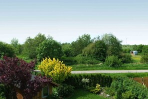 Ein Garten mit verschiedenen Pflanzen und einer kleinen Holzkonstruktion.