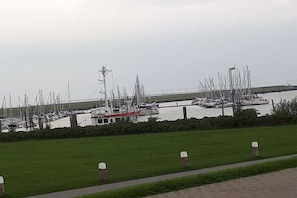 Ein Yachthafen mit mehreren angemeldeten Booten, eine Rasenfläche im Vordergrund und eine entfernte Brückensicht.