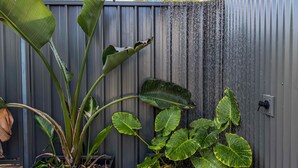 Un jardín con hojas verdes grandes, un elemento acuático y una valla de metal.