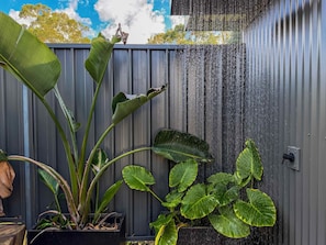 Een tuin met grote groene bladeren, een waterpartij en een metalen hek.