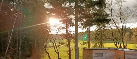 A wooden deck with a view of a green field and trees.