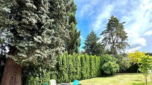 A patio with two chairs and a table, surrounded by a lawn and trees. - Cozy new 2-bedroom suite with AC & big private yard in charming Burnaby (Burnaby)