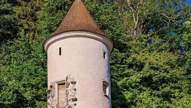 Una torre storica con tetto a cono, numerose finestre e una base in pietra, circondata da un lussureggiante verde.