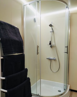 A glass-enclosed shower stall with a handheld showerhead and a handheld soap dispenser.