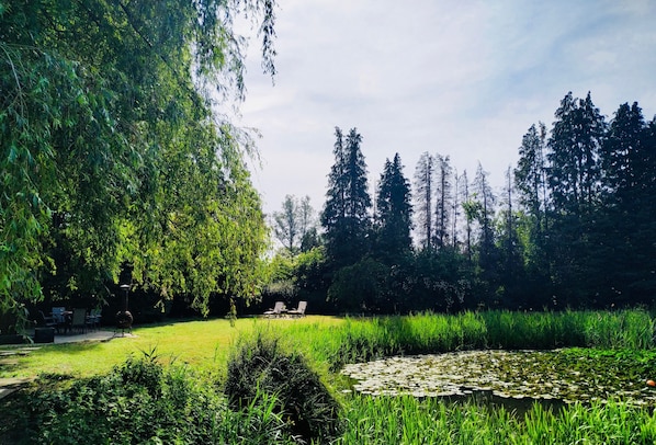 A lush garden with a pond, chairs, and a table, surrounded by tall trees and greenery.