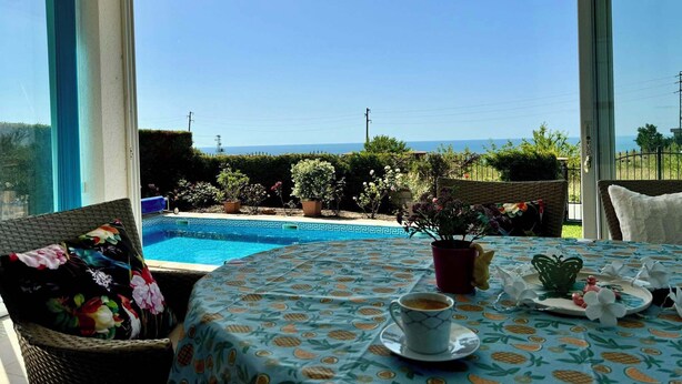 Un balcon avec vue sur la mer, une piscine et des plantes en pot.